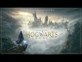 Hogwarts Legacy | Hog’s Head Jig - chuck e. myers “sea” | WaterTower