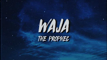 The PropheC - Waja (Lyrics x Meaning)