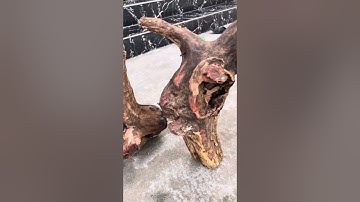 GL 7 cục trắc dây krongpa 42kg đục đẽo các kiểu 1tr750 bao ship ạ bác nào thiện chí lh033.891.8991