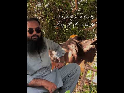 بیٹھ جاتا ہو اکثر خاموش ہوکر اپنی اوقات اچھی لگتی ہے مجھے | Hanzla Malik 💕 | Urdu poetry| #viral