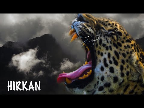 HIRKAH - trailer for the new film | Film Studio Aves