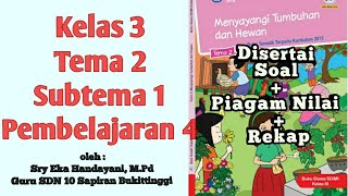 #kelas3sd #tema2 #subtema1 #pembelajaran4 pembelajaran kelas 3 tema 1.
menyayangi tumbuhan dan hewan subtema manfaat bagi kehidupan manusia
pembe...