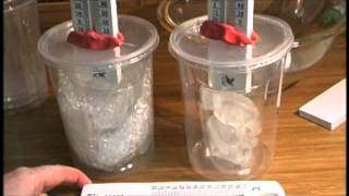 Heat Transfer Lab Thermos Prep