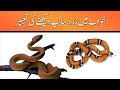 Khwab mein zard saanp dekhna  orange  brown snake in dream  khwabon ki tabeer episode 93