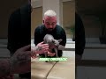 Chiropraktik Bei Tieren рџ љрџ љ Asmr Catshorts TГјrkiye Foryou Liebe Chiropraktik Animals Cat Chiropraktik Bei Tieren рџ љрџ љ Asmr Catshorts TГјrkiye Foryou Liebe Chiropraktik Animals Cat