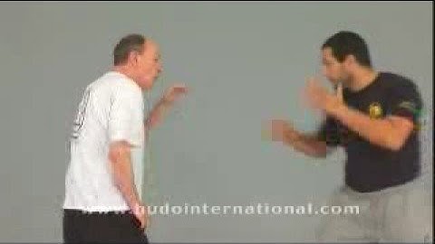 JEET KUNE DO SPARRING by Tim Tackett