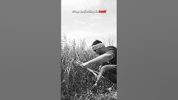 Start believing in your own damn hustle | Trading Noah #motivation #success