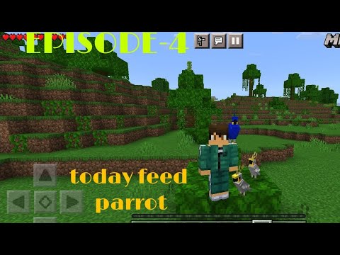 minecraft episode-4 today tame the parrot - YouTube
