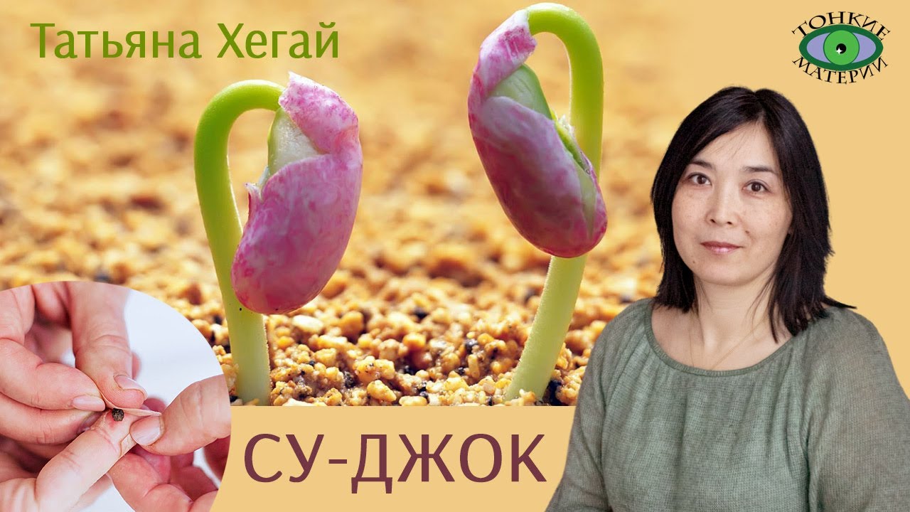 🌿 Су-джок терапия. Торсунов. Лечение семенами. Татьяна Хегай - YouTube