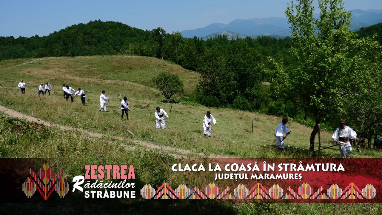 ZESTREA RĂDĂCINILOR STRĂBUNE - CLACA LA COASĂ ÎN STRÂMTURA,  MARAMUREȘ