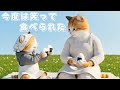【がんばるチビの物語】〜涙のおにぎり編〜続編〜今度は、笑って食べられた😸😸｜泣いて食べたあの日のつづき🐾