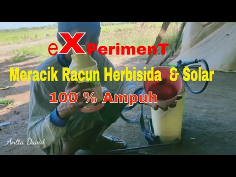 Tutorial Meracik Racun Rumput Herbisida dengan Solar || 100 % Ampuh