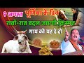 09 अगस्त पूर्णिमा के दिन गाय को दे दे यह एक चीज! रात और रात बदल जाएगी आपकी किस्मत