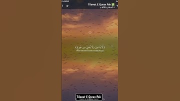 قرآن كريم سورة الغاشية القارئ عبد رحمن مسعد راحة نفسية ❤😴