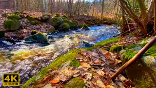 1-hour Yoga Piano Background Music 4K UHD| Healing, Meditation, Zen, Therapy, Study