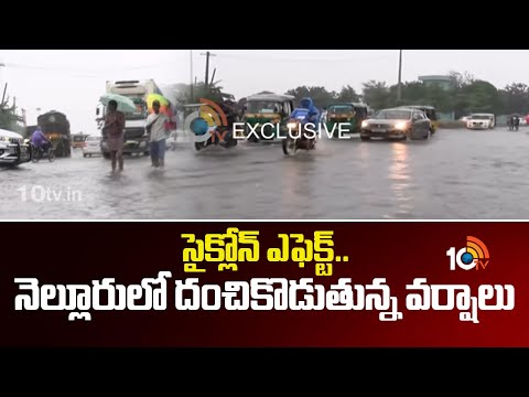 సైక్లోన్ ఎఫెక్ట్..నెల్లూరులో దంచికొడుతున్న వర్షాలు | Cyclone Effect In Nellore | AP News | 10TV News