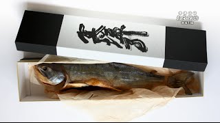 【石狩市公式動画】石狩鮭の「寒塩引（かんしおびき）」
