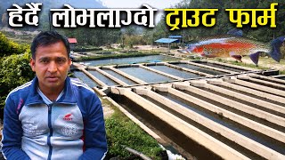 बिदेशबाट फर्किएका ३ दाजुभाईको यति ठुलो ट्राउट फार्म ! - Trout farming in Helambu,Sindhupalchowk
