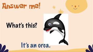 GET SMART PLUS 3 MODULE 10:THE WORLD AROUND US