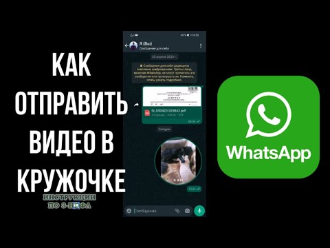 Как отправить Видеосообщение в кружочке в ватсапе, как сделать видео в кружочке в Whatsapp