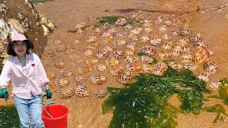 [ENG SUB] Xiao Zhang rushed to the sea  the beach was flooded with snails  and there were grouper l