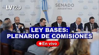 EN VIVO LEY DE BASES | CONTINÚA EL DEBATE EN EL SENADO - PLENARIO DE COMISIONES