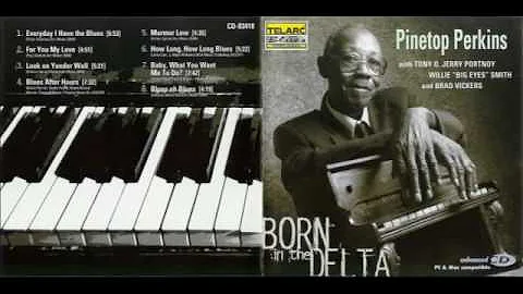 Pinetop Perkins - Born In The Delta (Full Album)
