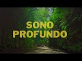 SONO PROFUNDO, ALÍVIO DA ANSIEDADE E EQUILÍBRIO EMOCIONAL. CURE SUA MENTE E CORPO COM SERENIDADE.