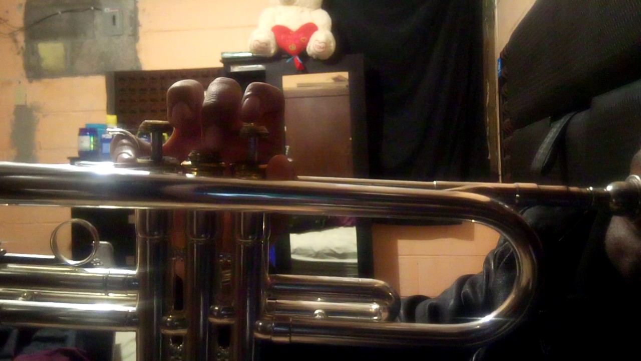 Sak noel & salvi ft sean paul trumpets play YouTube