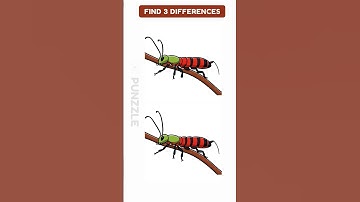 find 3 Differences #112