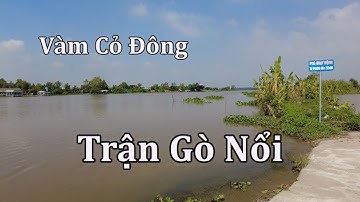 Trận Gò Nổi 1969 bên sông Vàm Cỏ Đông.