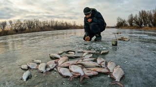 НАТКНУЛСЯ НА ЖОР КРУПНОЙ ГУСТЕРЫ. КЛЁВ КАК ПО ПЕРВОМУ ЛЬДУ! Подлёдная рыбалка в Астрахани.