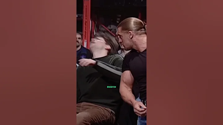 Triple H ATTACKS a fan in the crowd #tripleh #therock #snl #stonecold #johncena  #wwe #ufc #jre