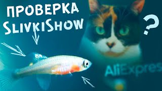 Проверка Slivki Show! Живые рыбки с AliExpress! Это реально работает??