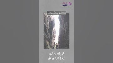 (فسبحان الله حين تمسون...) / القارئ عبدالمحسن الضباح