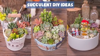 8 Succulent DIY Ideas | 8 Ý tưởng trang trí sen đá cực dễ làm| 多肉植物| 다육이들 | Suculentas