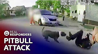 RAW BODYCAM FOOTAGE Pitbull CHARGES at Police Officer | Real Responders