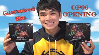 HUGE HITS - Double OP06 Wings of the Captain Booster Box Opening
