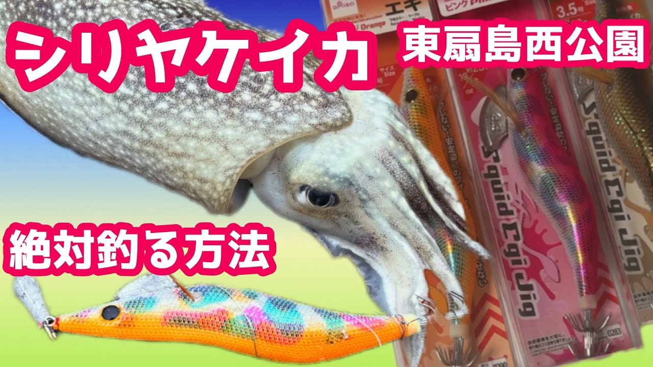 Higashi Ogishima West Park] Tips for catching Japanese cuttlefish
