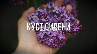 Куст сирени А.И. Куприн