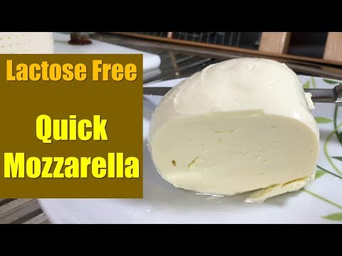 Lactose Free Quick Mozzarella Made with Real Milk