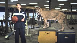 BYU Real Cougar 3 - Fleas and Football Chewing