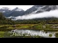 fly fishing, deer stalking, beer browsing - New Zealand with Josh James Kiwi Bushman