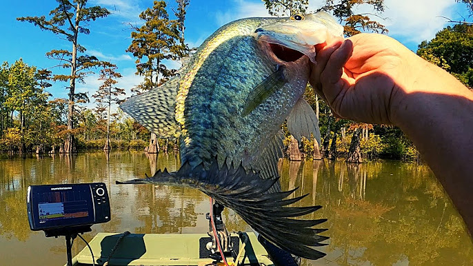 Crappie fishing 