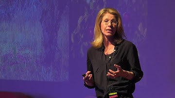 Curiosity starts in your own backyard | Katharine Suding | TEDxCU