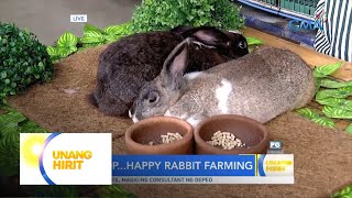 Tamang pag alaga sa rabbit, alamin! | Unang Hirit