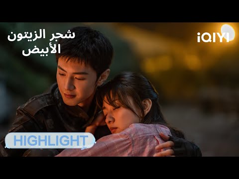 شجر الزيتون الأبيض The White Olive Tree مختارات من أجمل اللحظات الحلقة 01 02 IQIYI Arabic