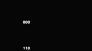 Magnolia Pictures/HDNet Films (2007)