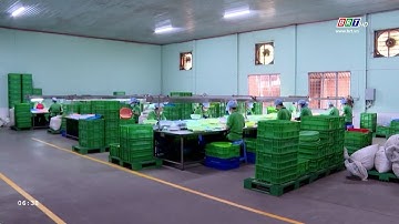 Những tín hiệu tích cực của xuất khẩu: Thành quả từ thích ứng và hội nhập kinh tế quốc tế | BRTgo