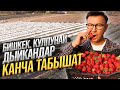 КУЛПУНАЙ өстүрүп ДЫЙКАНДАР 10 соток Жерден КАНЧА ТАБЫШАТ?